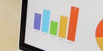 朝陽商業計劃書與融資方案 專注信息咨詢服務的戰略布局